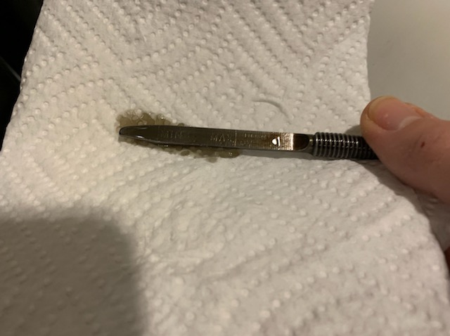 Oil: the blood of an engine